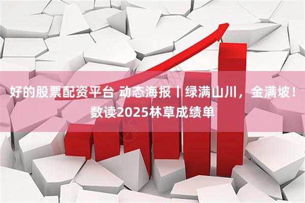 好的股票配资平台 动态海报丨绿满山川，金满坡！数读2025林草成绩单